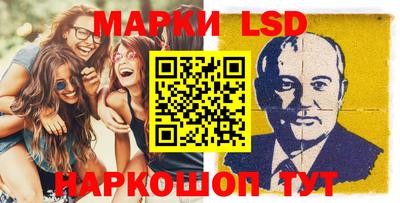 индика Можга