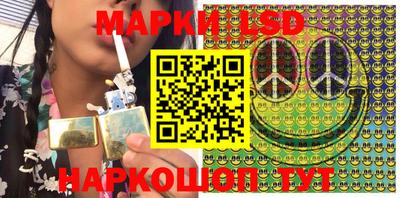 индика Можга