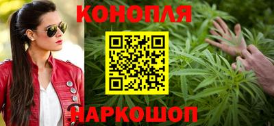 индика Можга