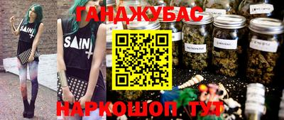 индика Можга