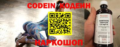 индика Можга