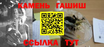 индика Можга
