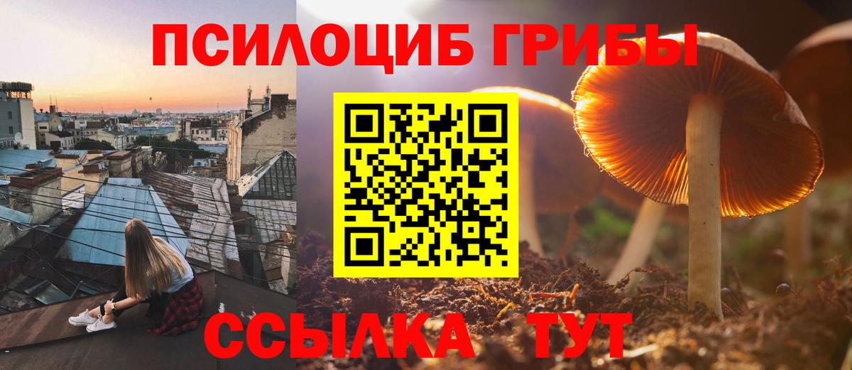 Владимир  Галлюциногенные грибы мухоморы  Галлюциногенные грибы GOLDEN TEACHER  Вход с VPN 